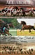 All About Horses -2 - All About Horses., #2