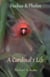 Haikus and Photos: A Cardinal's Life - Nature Haikus & Photos, #2