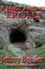 A Mage Among Trolls - Mages of Trava, #2