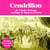 Cendrillon