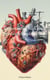 Understanding High Blood Pressure: A Simplified Guide