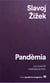 Pandèmia - La covid-19 trasbalsa el món