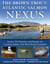 The Brown Trout-Atlantic Salmon Nexus - Tactics, Fly Patterns, and the Passion for Catching Salmon, Our Most Prized Gamefish