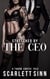 Stretched by the CEO - The Office Toy, #1