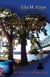 Shadows of Rust & Reels - Artists & Cottages, #3