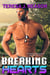 Breaking Hearts (SEAL Team Heartbreakers)