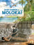 Saint Damien de Molokaï - L'apôtre des lépreux