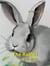 The Rabbit for Kids - Cool Animals for Kids, #5