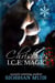 Christmas I.C.E. Magic - Cloudburst Colorado, #3