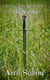 The Sword - Realms Of The Fae, #0