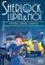 Le Mystère de l'homme au chapeau - Sherlock, Lupin & moi - tome 15