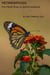 Metamorphosis : from Mental Illness to Spiritual Awakening