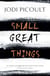 Small Great Things - A heartbreaking and inspirational ethical dilemma novel that will forever change how you see the world