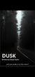 Dusk - Dusk, #1
