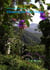 Flowers for the Grave - Clint Faraday Mysteries, #49