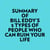 Summary of Bill Eddy's 5 Types of People Who Can Ruin Your Life