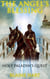 Holy Paladin's Quest: The Angel's Blessing: Book One - The Angel's Blessing, #1