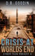 Crisis At Worlds End - Cyber Teen Project, #4