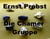 Die Chamer Gruppe