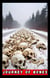 Journey of Bones - contos, #1