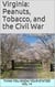 Virginia: Peanuts, Tobacco, and the Civil War - Think You Know Your States?, #14