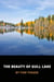 The Beauty of Gull Lake