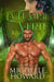 La Flamme verte - Un roman de L'univers Dracol, #2