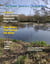All Your Stories Magazine - All Your Stories, #2
