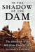In the Shadow of the Dam - The Aftermath of the Mill River Flood of 1874