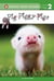 Pig-Piggy-Pigs