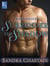Mac's Angels: Surrender the Shadow - A Loveswept Classic Romance