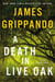 Death in Live Oak, A - A Jack Swyteck Novel