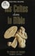 Les Celtes dans la Bible
