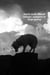 Amour, vampire et loup-garou