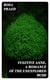 Fugitive Anne, A Romance of the Unexplored Bush