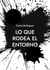 Lo que rodea el entorno - Una idea sobre la existencia
