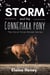 The Storm and the Connemara Pony - The Coral Cove Horses Series - Coral Cove Horse Adventures for Girls and Boys, #2