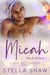 Micah, Love at the Haven 3 - Love at the Haven, #3