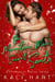 The Mountain Man's Secret Santa - Christmas in Alpine Valley, #5
