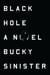 Black Hole - A Novel