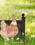 Ein Huhn namens Bruni