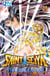 Saint Seiya - Les Chevaliers du Zodiaque  - The Lost Canvas - La Légende d'Hadès - Tome 14