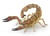 Scorpion - PAPO - 50209