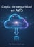 Copi de seguridad en AWS