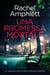 Una promessa mortale - Le indagini della detective Kay Hunter, #13