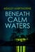 Beneath Calm Waters - Window's Point Duology, #1