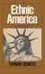 Ethnic America - A History