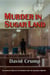 Murder in Sugar Land