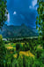 A True Story of Zoya and Ayan beyond the Mountains of Khyber