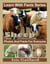 Sheep Photos and Facts for Everyone - Learn With Facts Series, #95